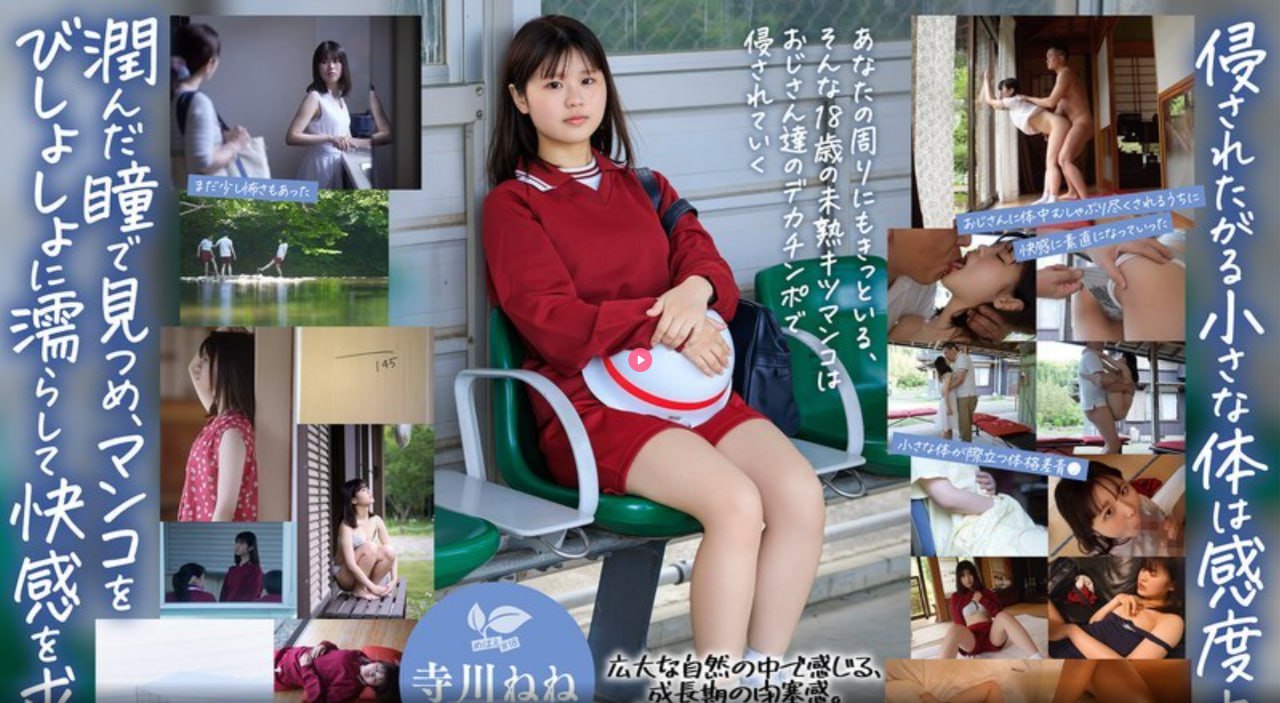 您正在观看《《肉蒲团》メイリン モデルコメイリン モ...高清在线观看